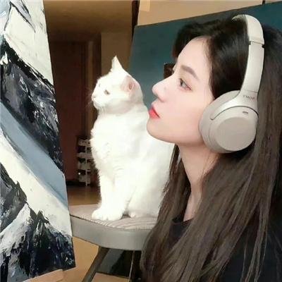 永不退缩：反抗